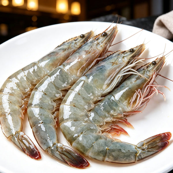 Premium Fresh Raw White Shrimp
